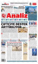 Analiz