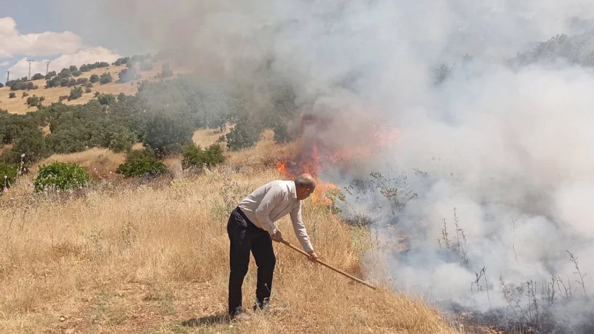 Mardin'de ormanlık alanda yangın