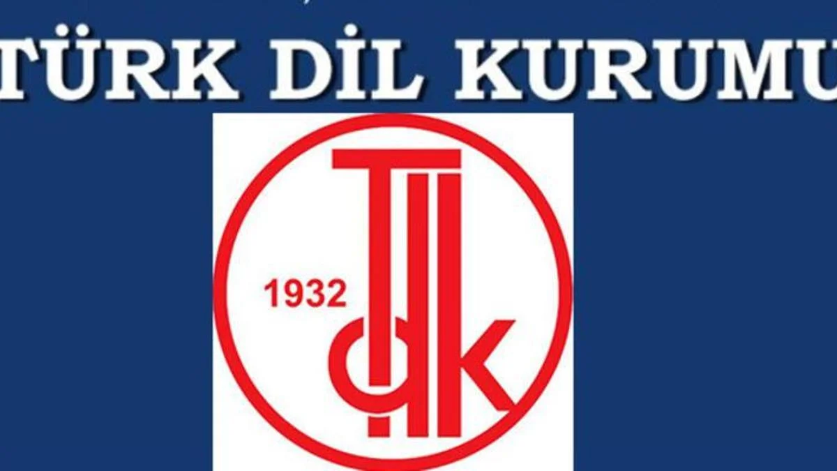 Metanet Ne Demek? Tdk'ya Göre Metanet Kelime Anlamı Nedir, Nasıl Kullanılır?