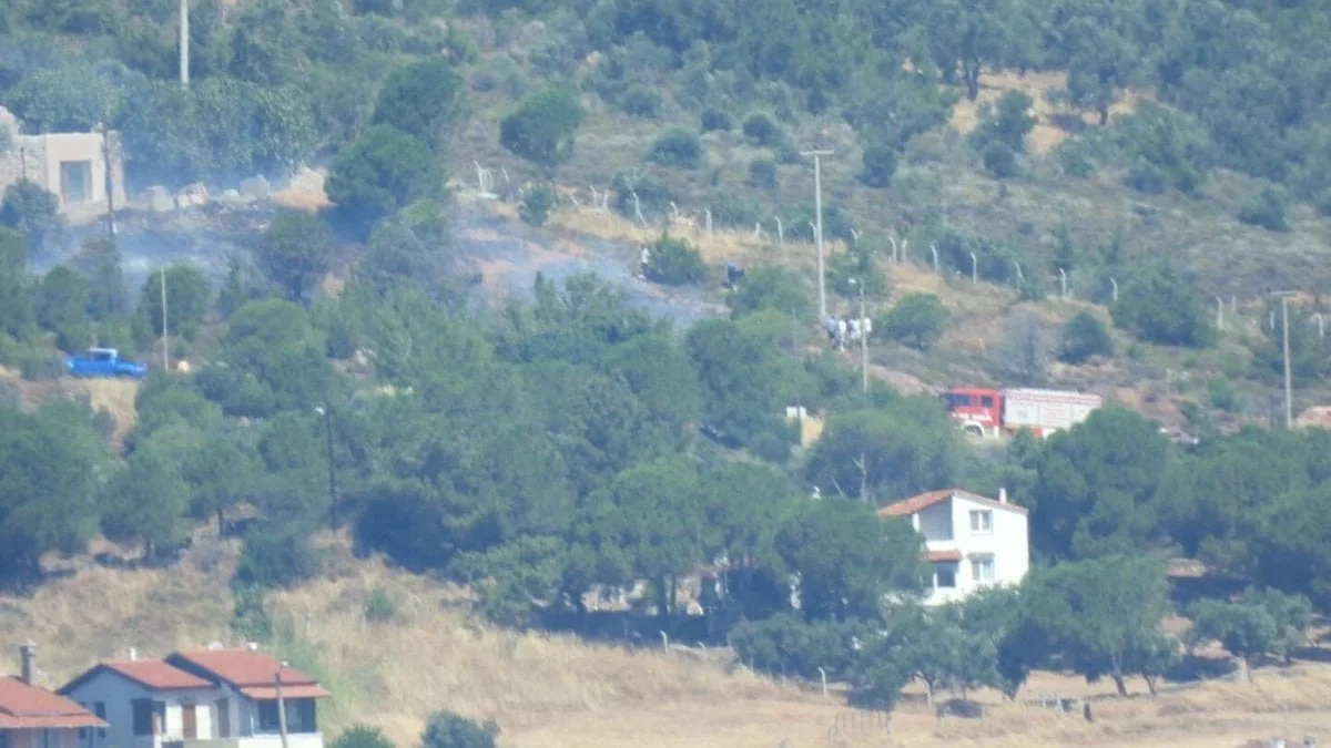 Cunda Adası'nda yangın: 1 dönüm orman yandı