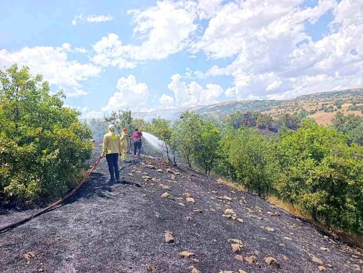 Bingöl'de orman yangını büyümeden söndürüldü