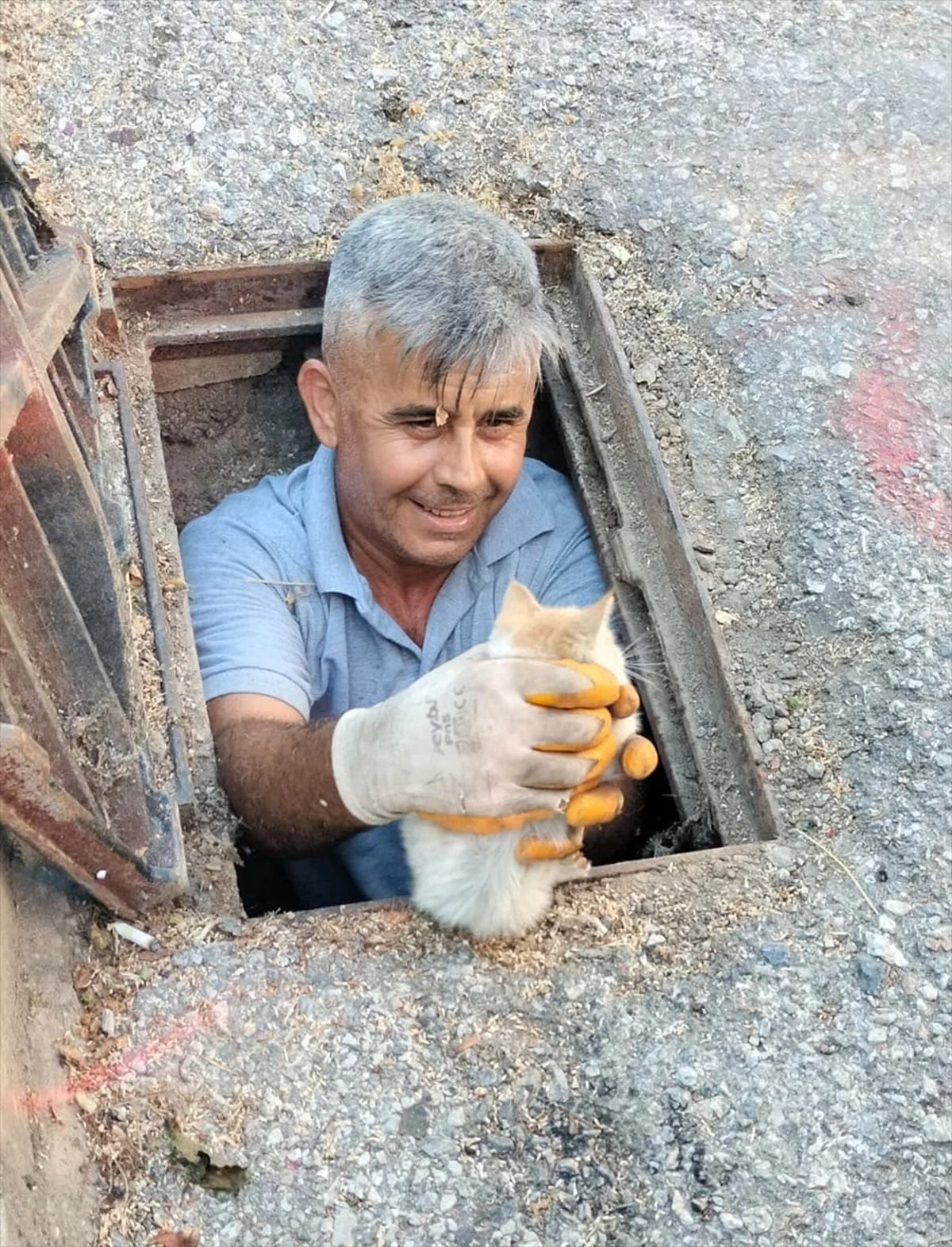 Alanya'da rögar giderine düşen kedi yavrusu kurtarıldı