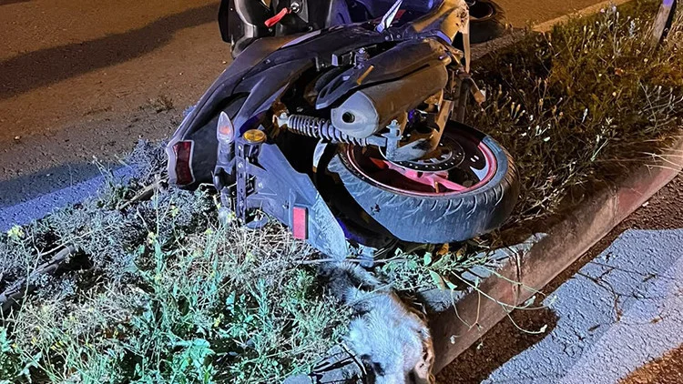Tokat’ta feci kaza! Kediye çarpmamak için manevra yaptı canından oldu