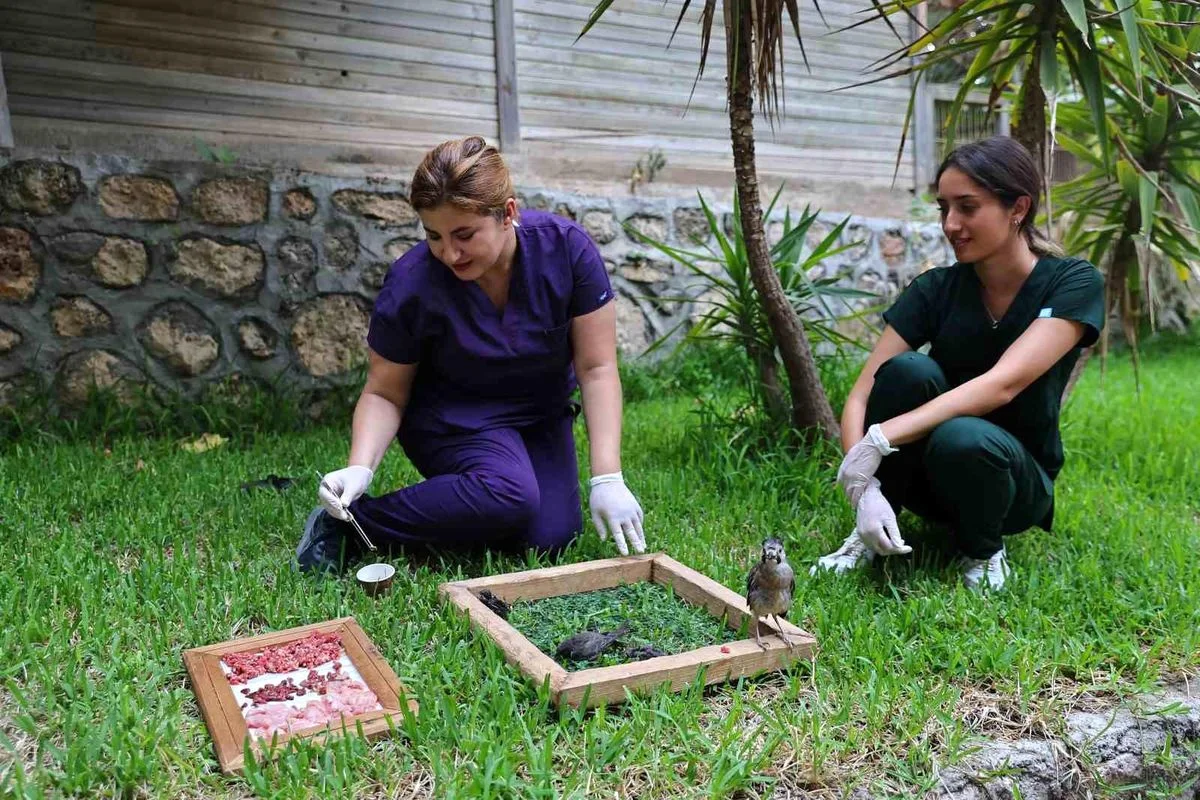 Antalya Doğal Yaşam Parkı'nda tam donanımlı klinik hizmeti