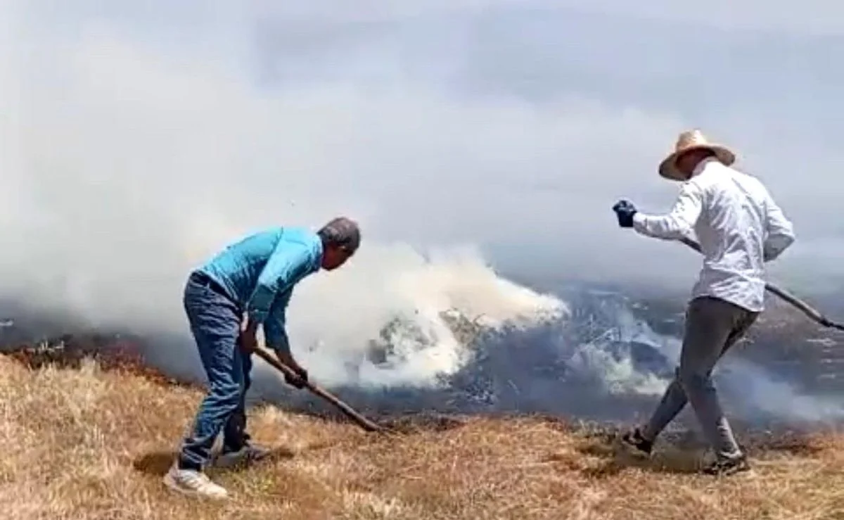 Yüksekova'da bin balya ot kül oldu