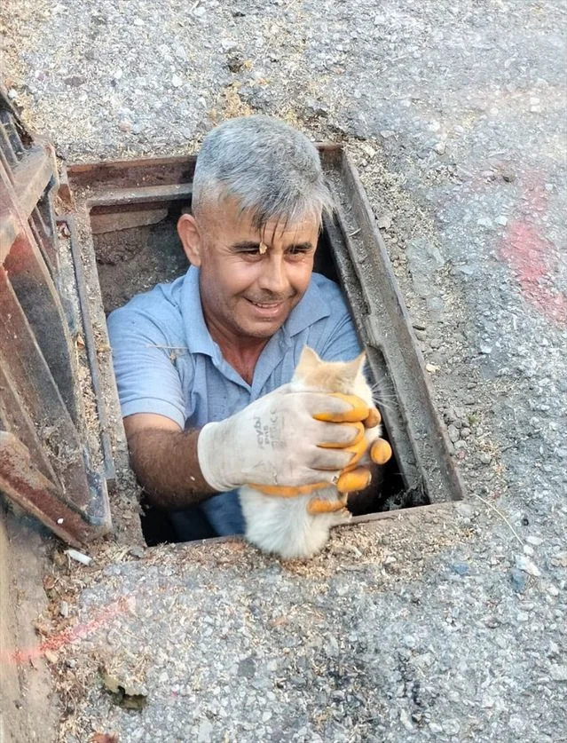 Küçük Kedi Yavrusunun Kurtuluşu