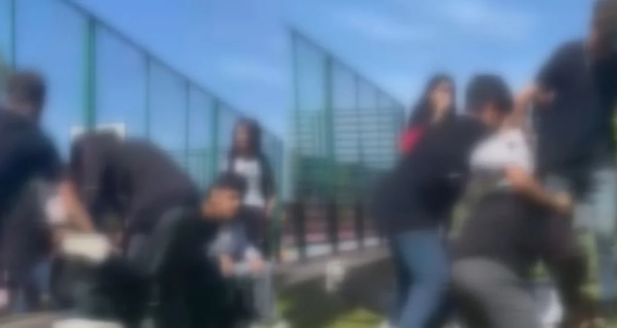 Anne görüntüleri izleyince soluğu karakolda aldı! Çocuk parkında meydan dayağı