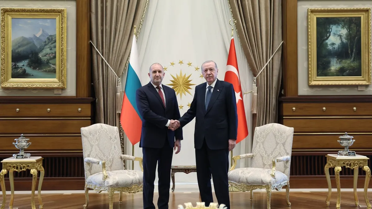 Başkan Erdoğan'dan NATO kabulleri! Önce Radev sonra Rutte